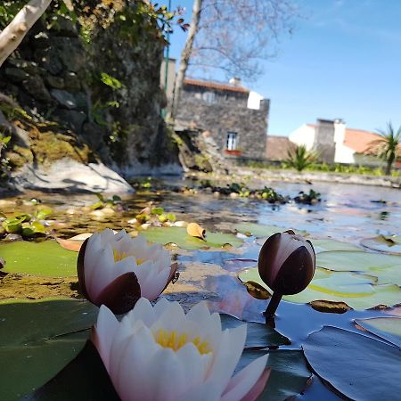 Stonewood Lodge Al Sao Vicente Ferreira Bagian luar foto