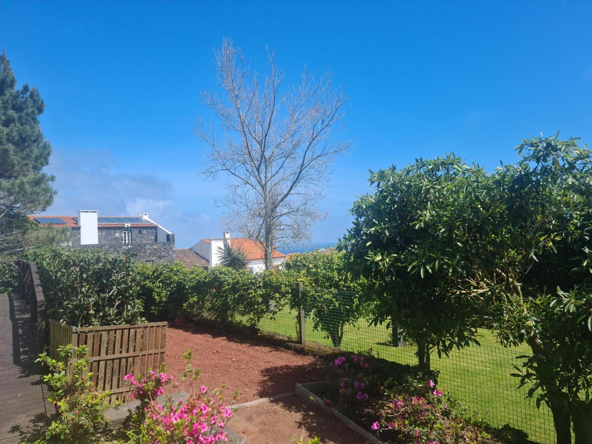 Stonewood Lodge Al Sao Vicente Ferreira Bagian luar foto