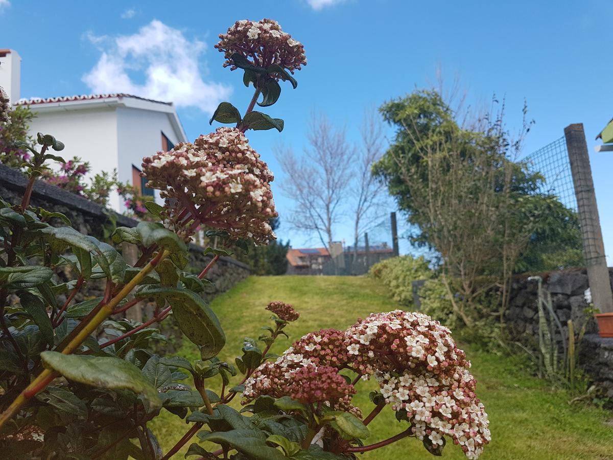 Stonewood Lodge Al Sao Vicente Ferreira Bagian luar foto